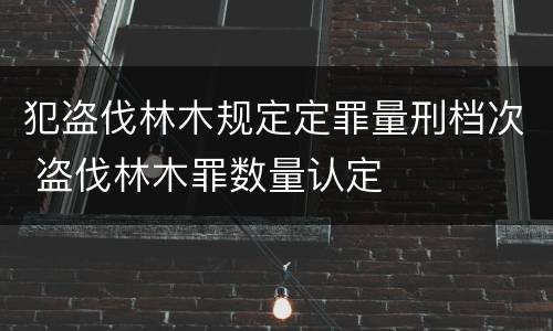 发行权及发表权主要不同之处有何（发行权及发表权主要不同之处有何区别）