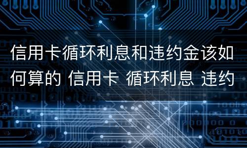 信用卡循环利息和违约金该如何算的 信用卡 循环利息 违约金