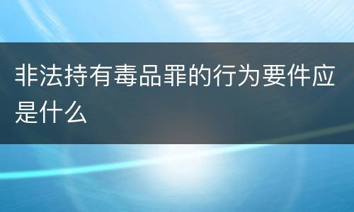 非法持有毒品罪的行为要件应是什么