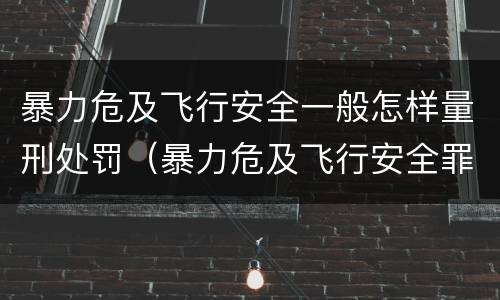 暴力危及飞行安全一般怎样量刑处罚（暴力危及飞行安全罪司法解释）