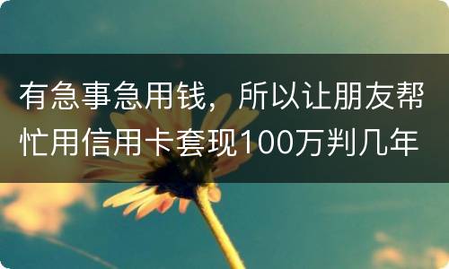 有急事急用钱，所以让朋友帮忙用信用卡套现100万判几年