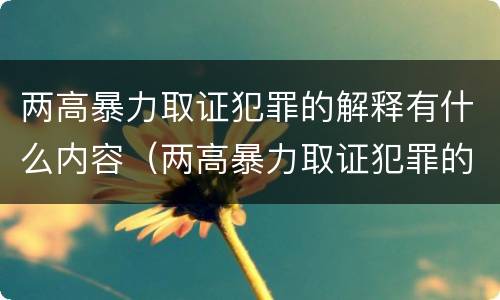 两高暴力取证犯罪的解释有什么内容（两高暴力取证犯罪的解释有什么内容吗）