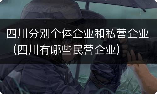 四川分别个体企业和私营企业（四川有哪些民营企业）