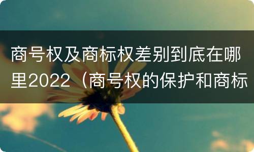 商号权及商标权差别到底在哪里2022（商号权的保护和商标权的保护一样是全国性范围的）