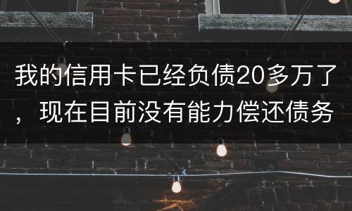 我的信用卡已经负债20多万了，现在目前没有能力偿还债务，请问可以申请破产吗