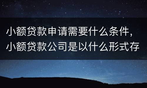 小额贷款申请需要什么条件，小额贷款公司是以什么形式存在的