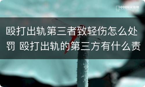 殴打出轨第三者致轻伤怎么处罚 殴打出轨的第三方有什么责任