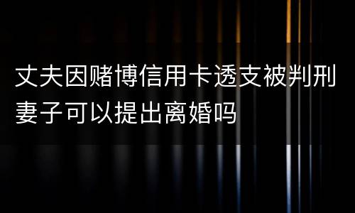 丈夫因赌博信用卡透支被判刑妻子可以提出离婚吗