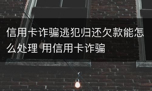 信用卡诈骗逃犯归还欠款能怎么处理 用信用卡诈骗