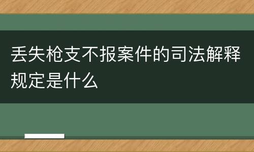 丢失枪支不报案件的司法解释规定是什么