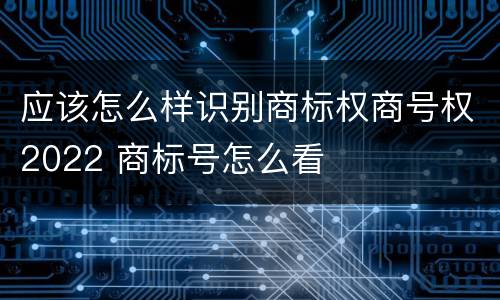 应该怎么样识别商标权商号权2022 商标号怎么看