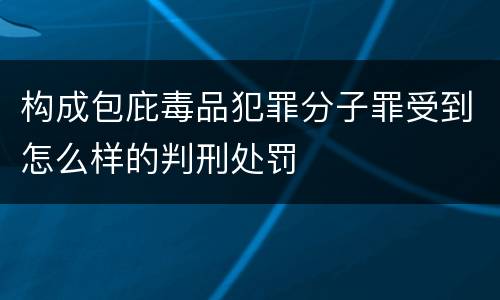 构成包庇毒品犯罪分子罪受到怎么样的判刑处罚