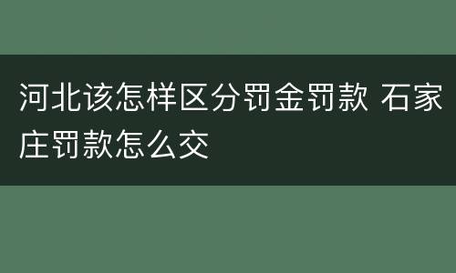 河北该怎样区分罚金罚款 石家庄罚款怎么交