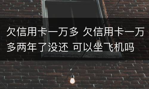 欠信用卡一万多 欠信用卡一万多两年了没还 可以坐飞机吗