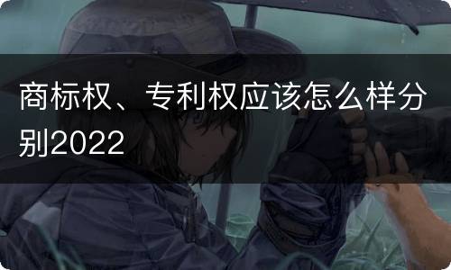 商标权、专利权应该怎么样分别2022