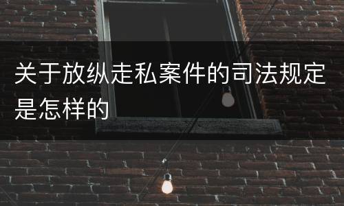 关于放纵走私案件的司法规定是怎样的