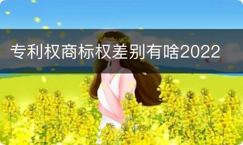 专利权商标权差别有啥2022