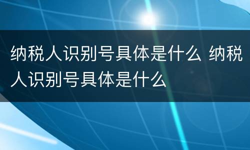 纳税人识别号具体是什么 纳税人识别号具体是什么