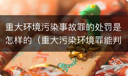 重大环境污染事故罪的处罚是怎样的（重大污染环境罪能判缓刑吗）