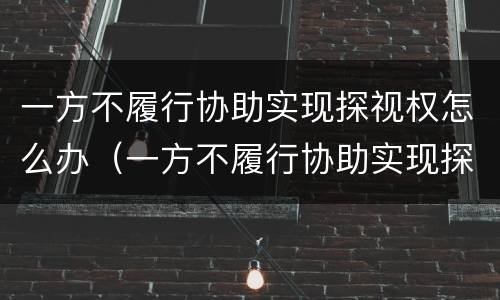 一方不履行协助实现探视权怎么办（一方不履行协助实现探视权怎么办呢）