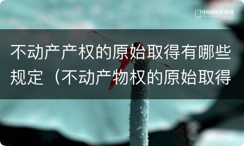 不动产产权的原始取得有哪些规定（不动产物权的原始取得方式）