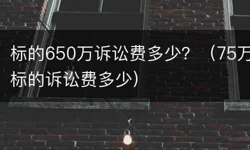 标的650万诉讼费多少？（75万标的诉讼费多少）