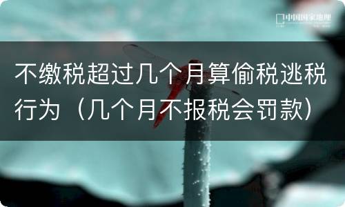 不缴税超过几个月算偷税逃税行为（几个月不报税会罚款）