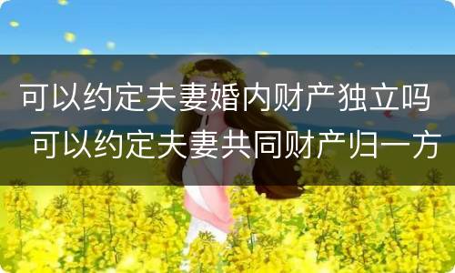 可以约定夫妻婚内财产独立吗 可以约定夫妻共同财产归一方所有吗