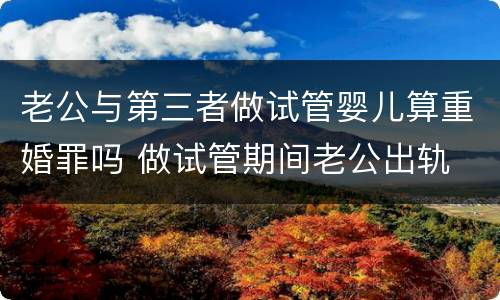 老公与第三者做试管婴儿算重婚罪吗 做试管期间老公出轨