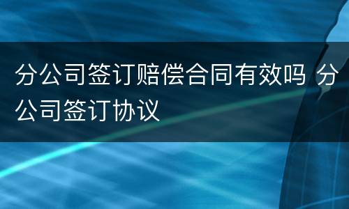 分公司签订赔偿合同有效吗 分公司签订协议