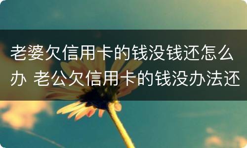 老婆欠信用卡的钱没钱还怎么办 老公欠信用卡的钱没办法还怎么办