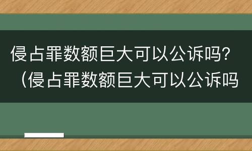 侵占罪数额巨大可以公诉吗？（侵占罪数额巨大可以公诉吗）