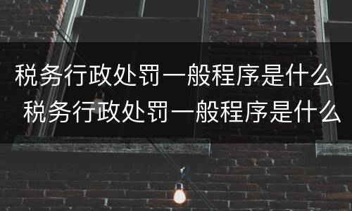 税务行政处罚一般程序是什么 税务行政处罚一般程序是什么样的