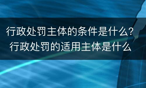 行政处罚主体的条件是什么？ 行政处罚的适用主体是什么