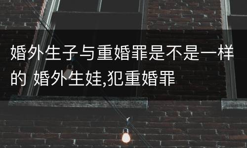 婚外生子与重婚罪是不是一样的 婚外生娃,犯重婚罪