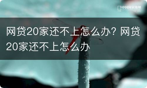 网贷20家还不上怎么办? 网贷20家还不上怎么办