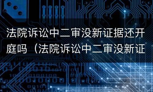 法院诉讼中二审没新证据还开庭吗（法院诉讼中二审没新证据还开庭吗）