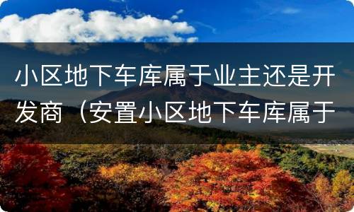 小区地下车库属于业主还是开发商（安置小区地下车库属于业主还是开发商）