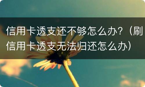 信用卡透支还不够怎么办?（刷信用卡透支无法归还怎么办）