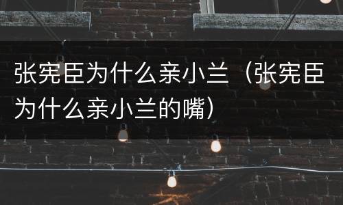 张宪臣为什么亲小兰（张宪臣为什么亲小兰的嘴）