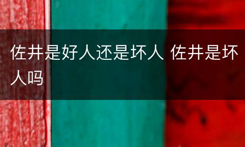 佐井是好人还是坏人 佐井是坏人吗