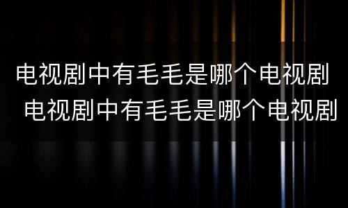 电视剧中有毛毛是哪个电视剧 电视剧中有毛毛是哪个电视剧里的