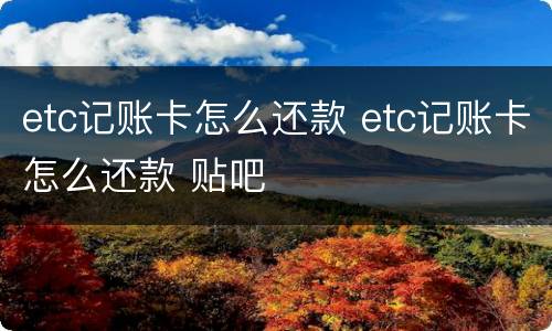 etc记账卡怎么还款 etc记账卡怎么还款 贴吧