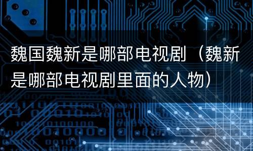 魏国魏新是哪部电视剧（魏新是哪部电视剧里面的人物）