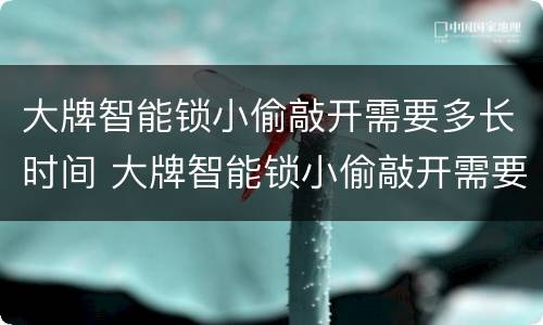 大牌智能锁小偷敲开需要多长时间 大牌智能锁小偷敲开需要多长时间完成