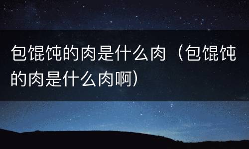 包馄饨的肉是什么肉（包馄饨的肉是什么肉啊）