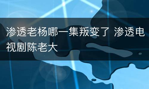 渗透老杨哪一集叛变了 渗透电视剧陈老大