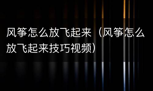 风筝怎么放飞起来（风筝怎么放飞起来技巧视频）