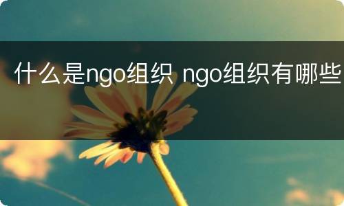 什么是ngo组织 ngo组织有哪些