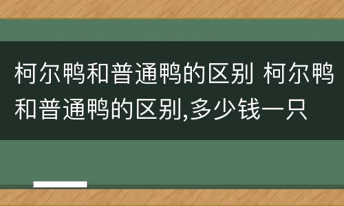 柯尔鸭和普通鸭的区别 柯尔鸭和普通鸭的区别,多少钱一只